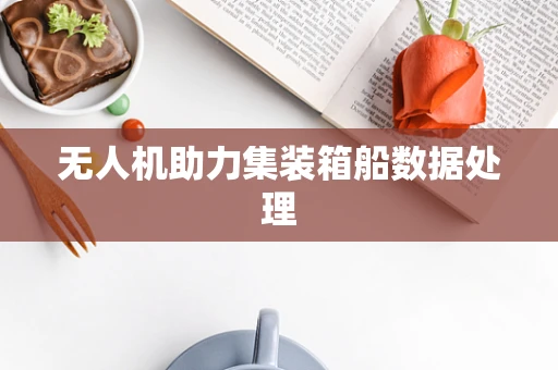 无人机助力集装箱船数据处理