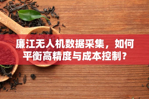 廉江无人机数据采集，如何平衡高精度与成本控制？