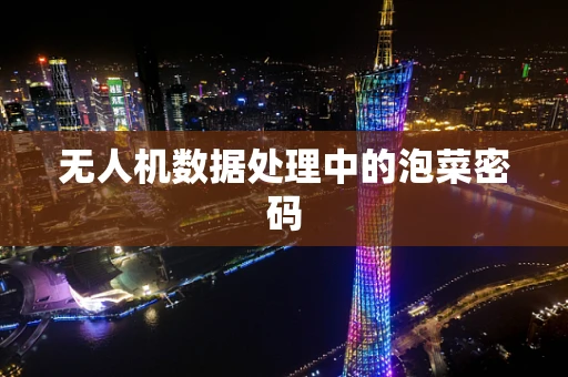 无人机数据处理中的泡菜密码