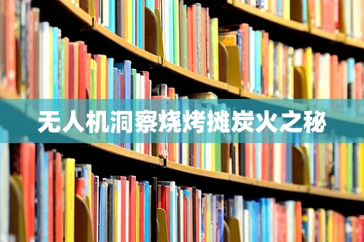 无人机洞察烧烤摊炭火之秘