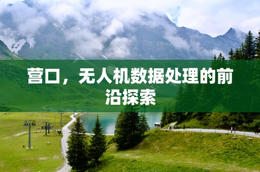 营口，无人机数据处理的前沿探索