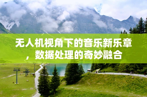 无人机视角下的音乐新乐章，数据处理的奇妙融合