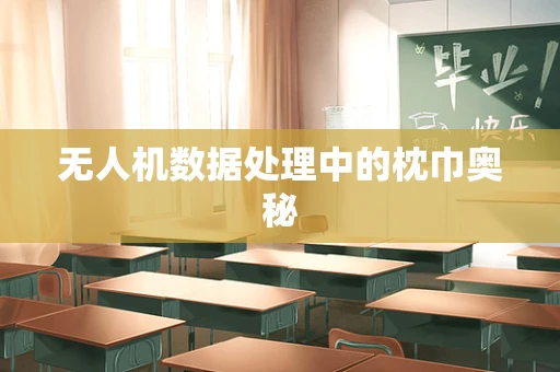 无人机数据处理中的枕巾奥秘