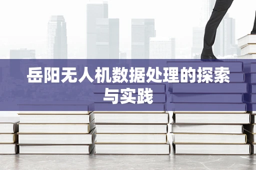 岳阳无人机数据处理的探索与实践