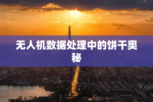 无人机数据处理中的饼干奥秘