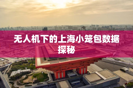 无人机下的上海小笼包数据探秘