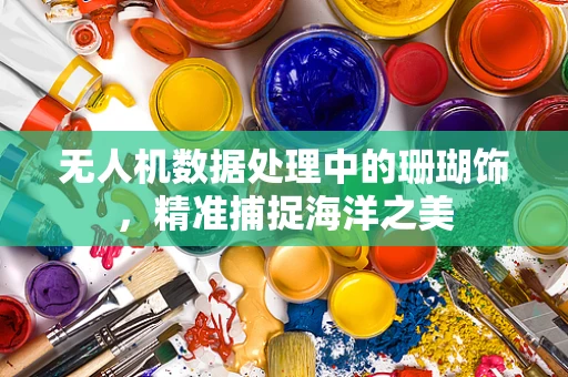 无人机数据处理中的珊瑚饰，精准捕捉海洋之美