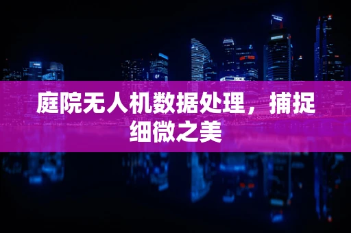 庭院无人机数据处理，捕捉细微之美