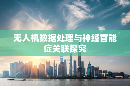 无人机数据处理与神经官能症关联探究