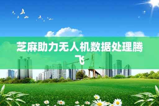 芝麻助力无人机数据处理腾飞