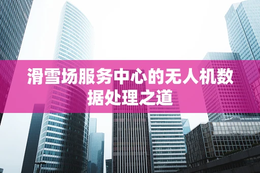 滑雪场服务中心的无人机数据处理之道
