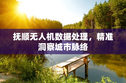 抚顺无人机数据处理，精准洞察城市脉络