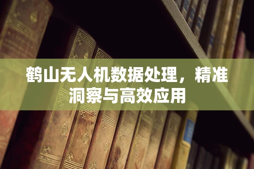 鹤山无人机数据处理，精准洞察与高效应用