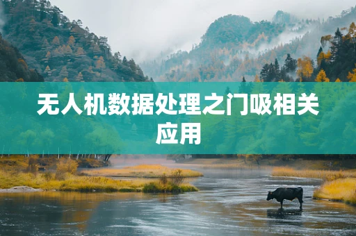 无人机数据处理之门吸相关应用
