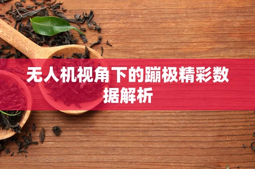 无人机视角下的蹦极精彩数据解析