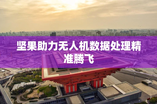 坚果助力无人机数据处理精准腾飞