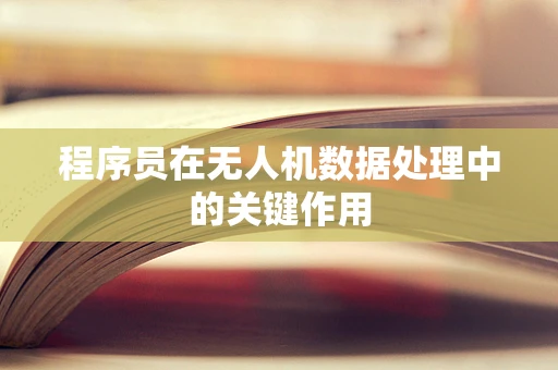 程序员在无人机数据处理中的关键作用