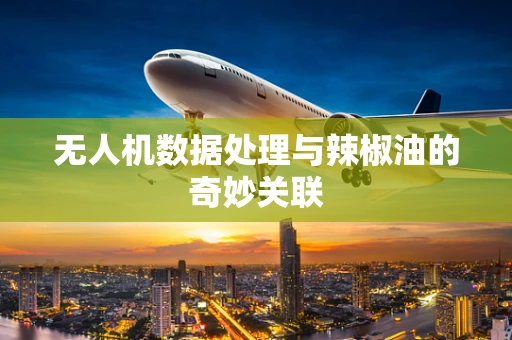 无人机数据处理与辣椒油的奇妙关联
