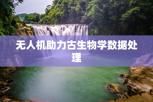 无人机助力古生物学数据处理