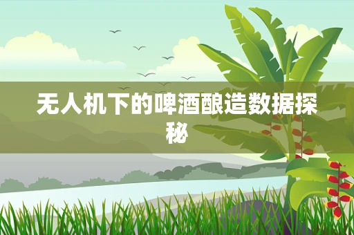 无人机下的啤酒酿造数据探秘