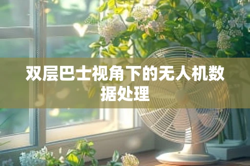 双层巴士视角下的无人机数据处理