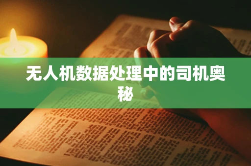 无人机数据处理中的司机奥秘