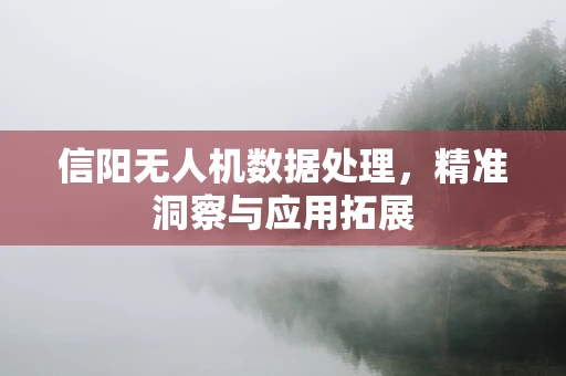 信阳无人机数据处理，精准洞察与应用拓展