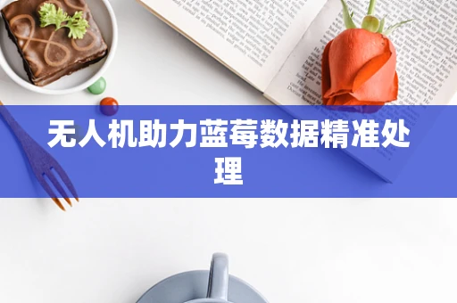 无人机助力蓝莓数据精准处理