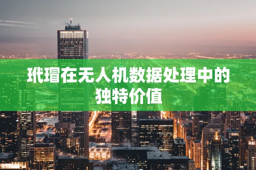 玳瑁在无人机数据处理中的独特价值