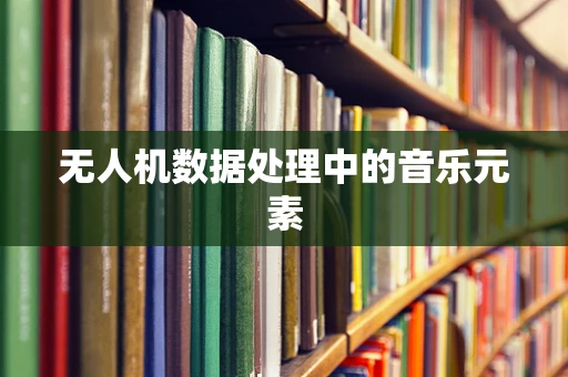 无人机数据处理中的音乐元素