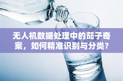 无人机数据处理中的茄子奇案，如何精准识别与分类？