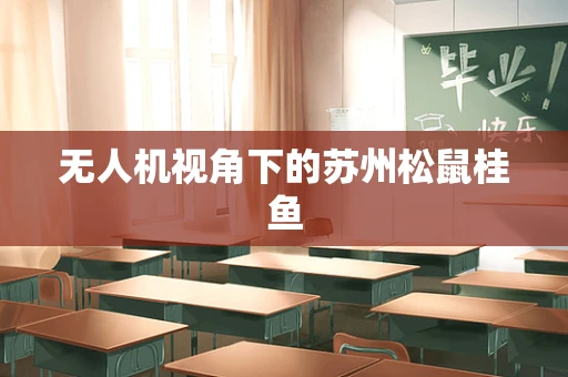 无人机视角下的苏州松鼠桂鱼