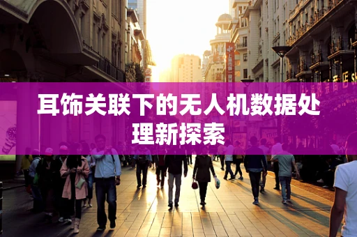 耳饰关联下的无人机数据处理新探索