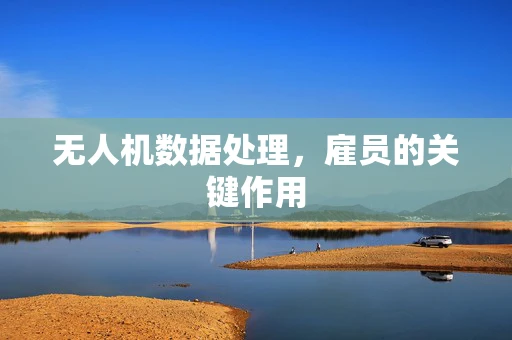 无人机数据处理，雇员的关键作用
