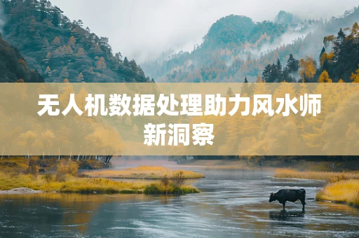 无人机数据处理助力风水师新洞察