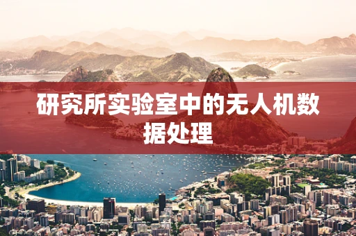 研究所实验室中的无人机数据处理