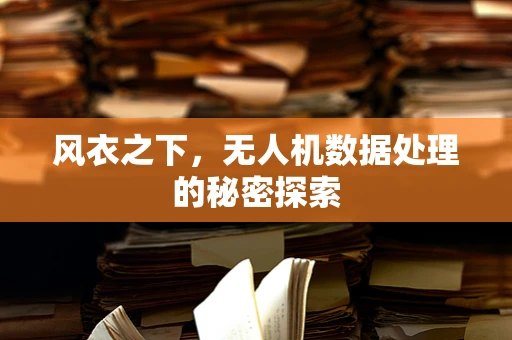 风衣之下，无人机数据处理的秘密探索