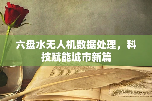 六盘水无人机数据处理，科技赋能城市新篇