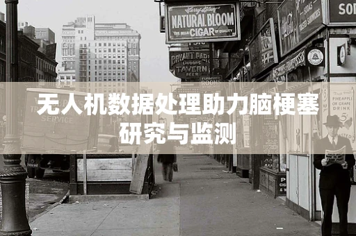 无人机数据处理助力脑梗塞研究与监测