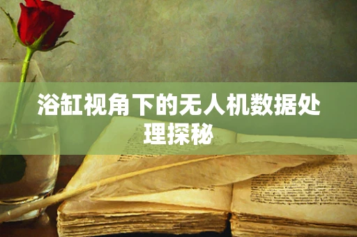 浴缸视角下的无人机数据处理探秘
