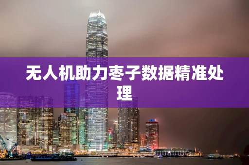无人机助力枣子数据精准处理
