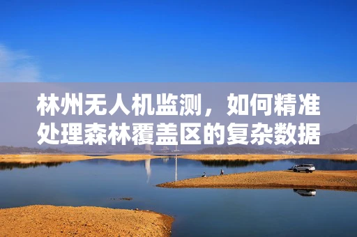 林州无人机监测，如何精准处理森林覆盖区的复杂数据？
