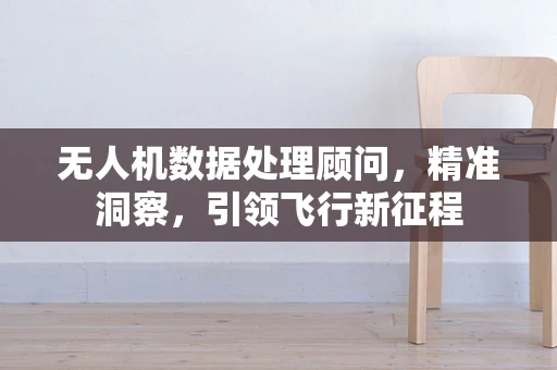 无人机数据处理顾问，精准洞察，引领飞行新征程