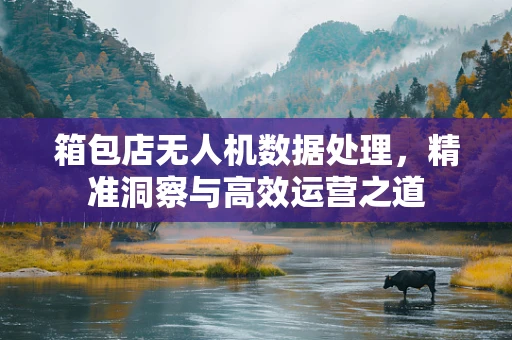 箱包店无人机数据处理，精准洞察与高效运营之道