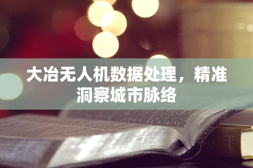 大冶无人机数据处理，精准洞察城市脉络