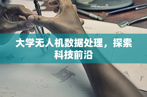 大学无人机数据处理，探索科技前沿