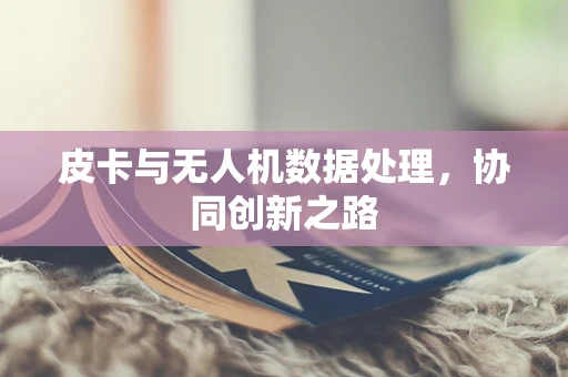 皮卡与无人机数据处理，协同创新之路