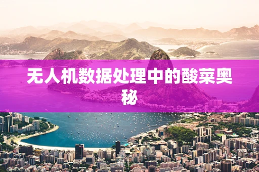 无人机数据处理中的酸菜奥秘