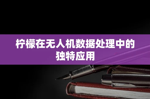 柠檬在无人机数据处理中的独特应用