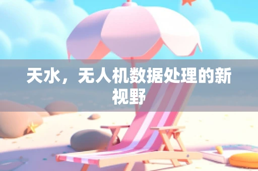 天水，无人机数据处理的新视野